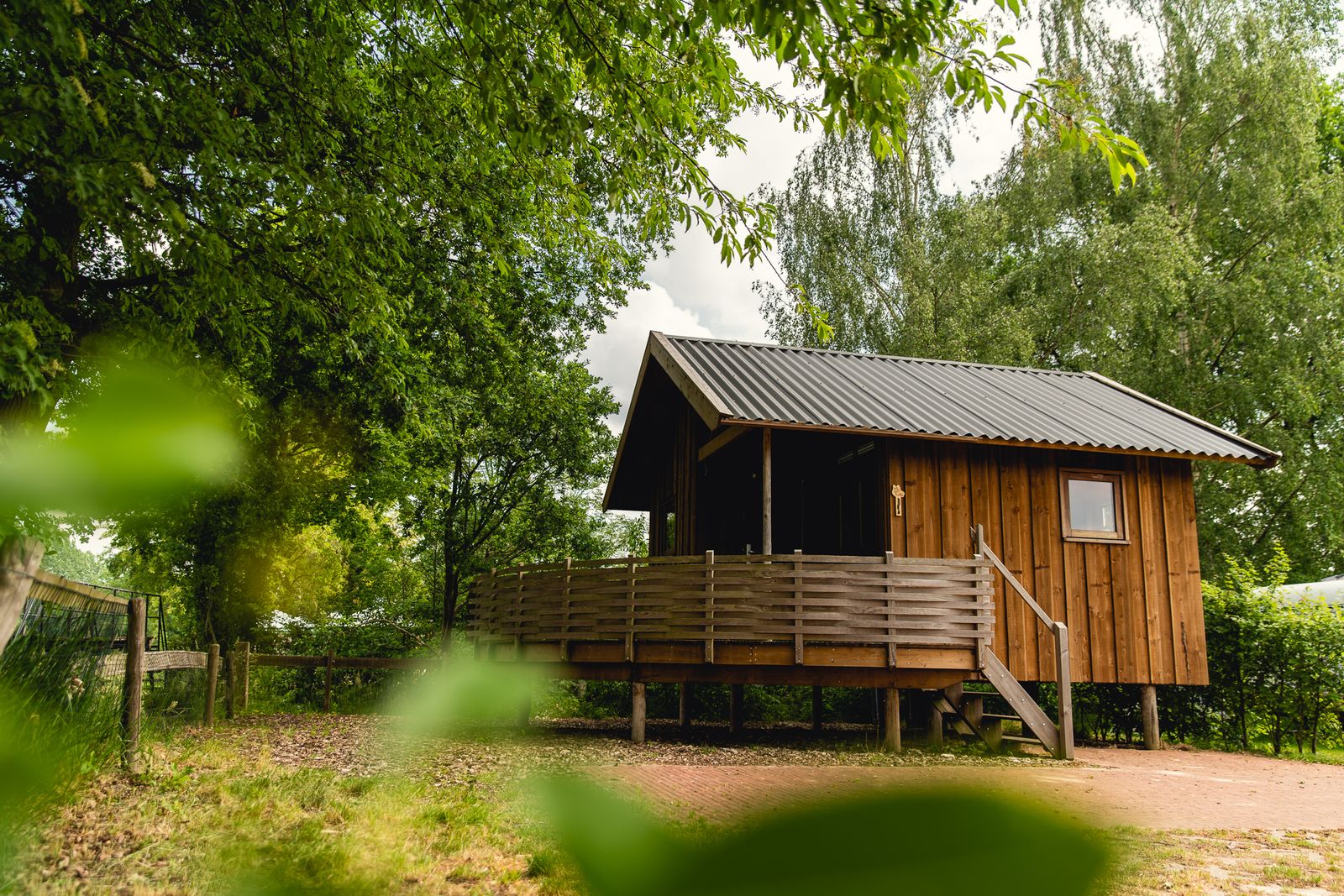 Cottage aan de Regge
